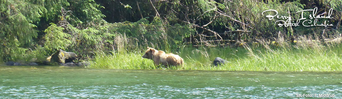 Das Kanada-Praktikum