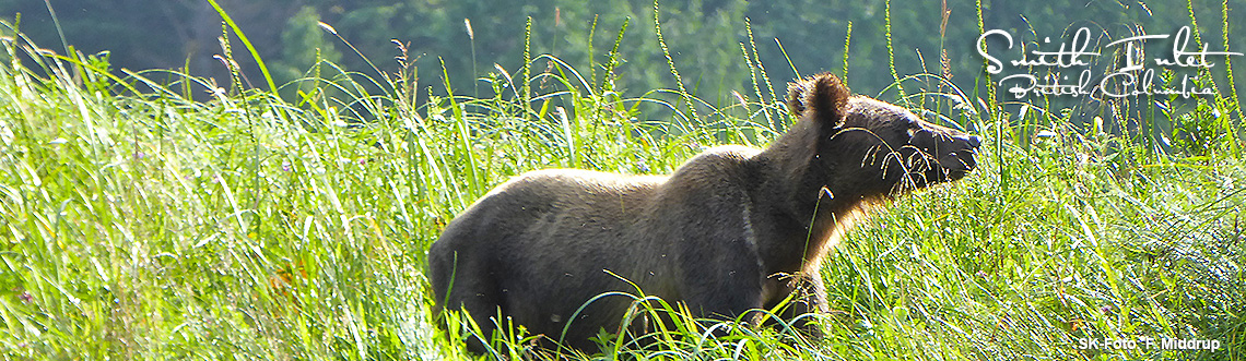 Das Kanada-Praktikum