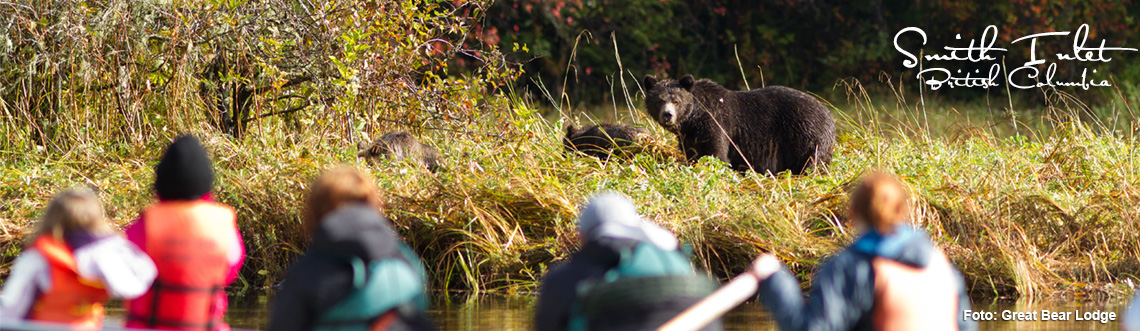 Das Kanada-Praktikum