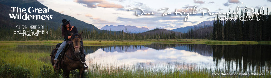 The Great Wilderness