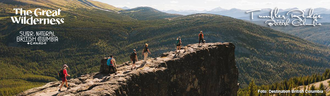 The Great Wilderness