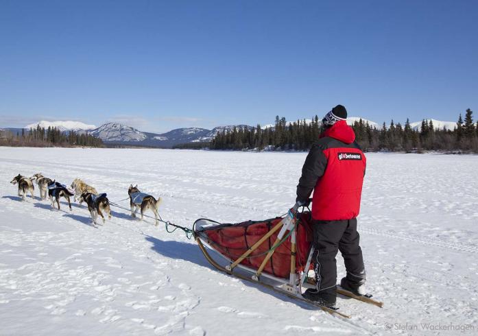 Ranch-Winter mit Huskies 