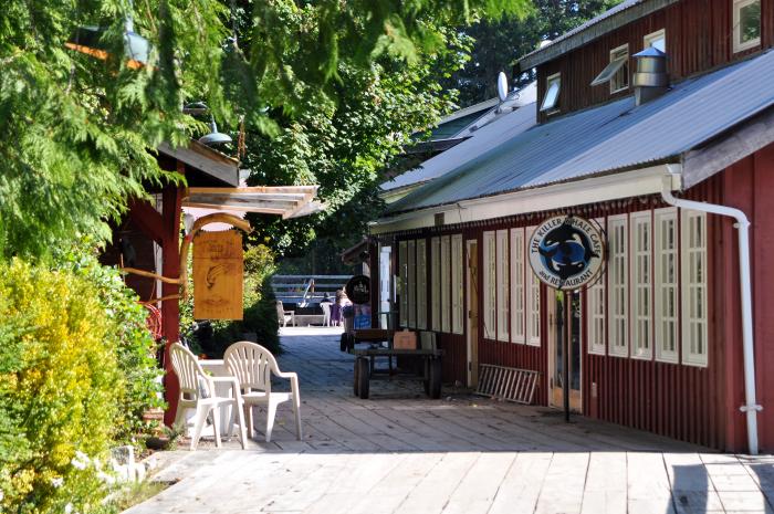 Telegraph Cove Resort - Lodge 