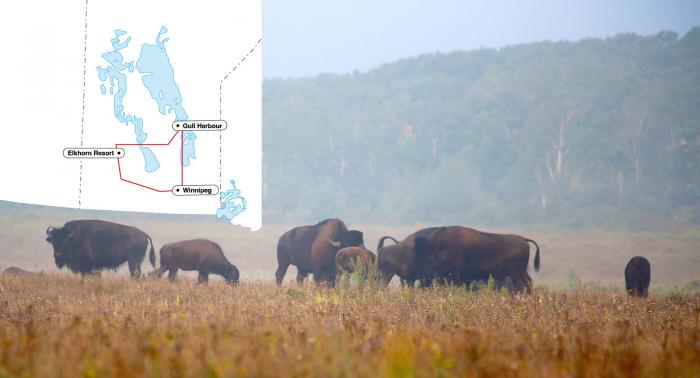 Riding Mountain & Lake Roadtrip 