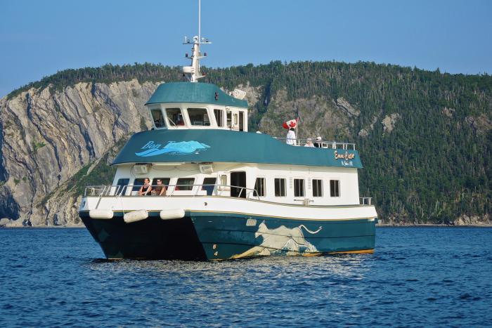 Bonne Bay Cruise 