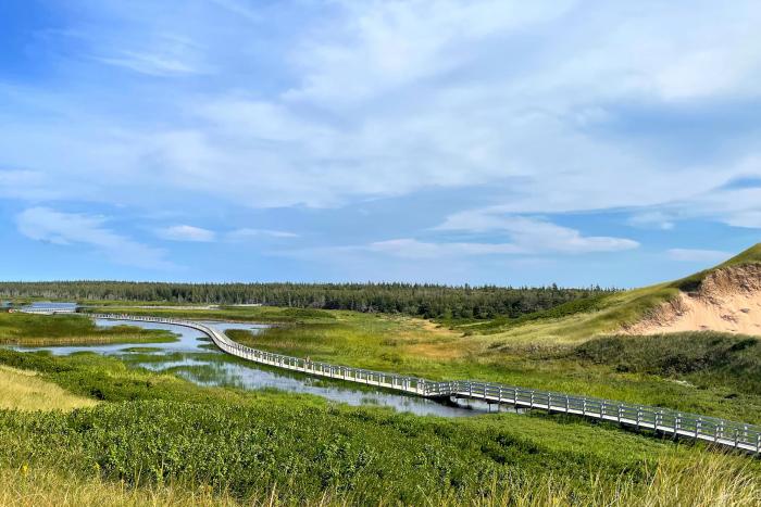Anne of Green Gables 