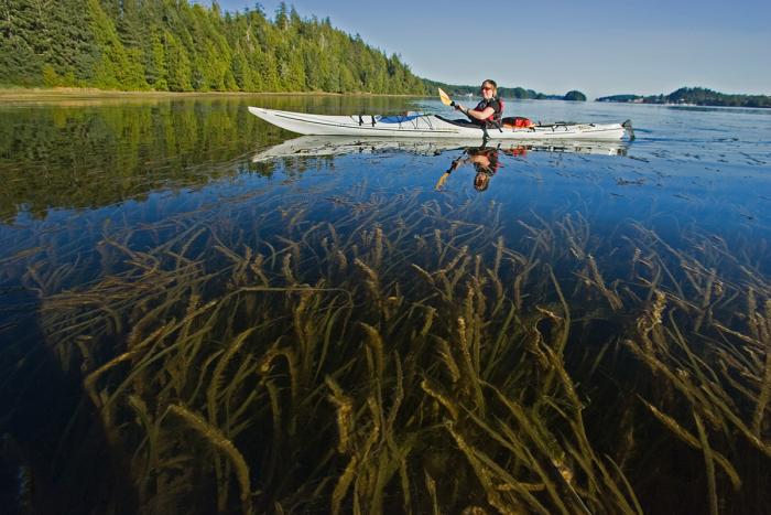 Ucluelet Barkley Sound Kajaktour 
