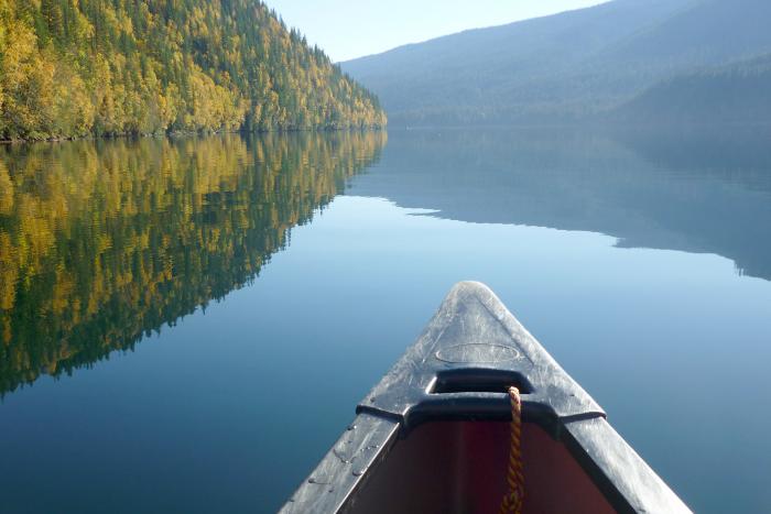 Wells Gray Park Outdoors 