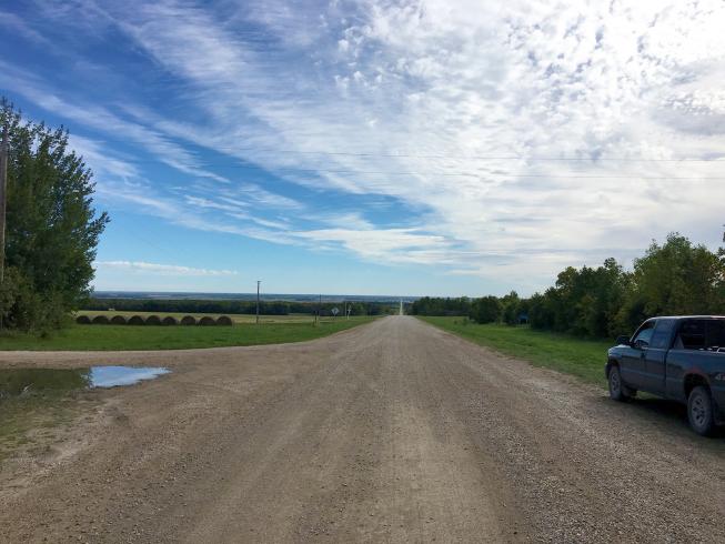 Mountie, Bison & Prärie 