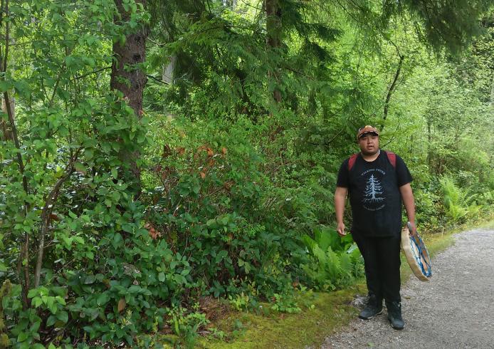Talking Trees Stanley Park 