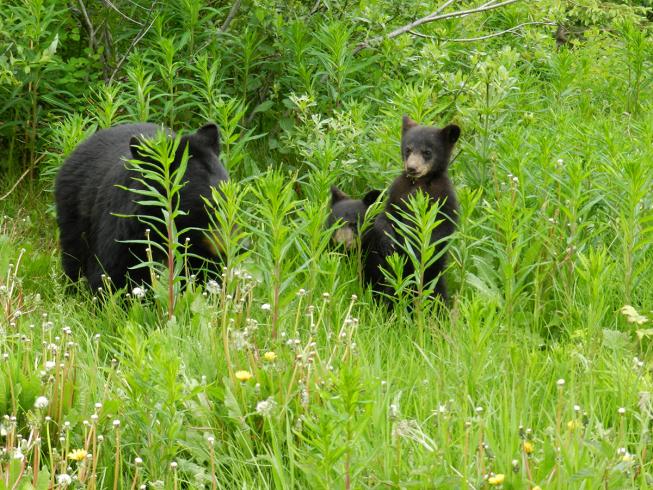 Rundreise Westkanada 