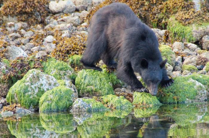 Westkanada mit Traveland RV 