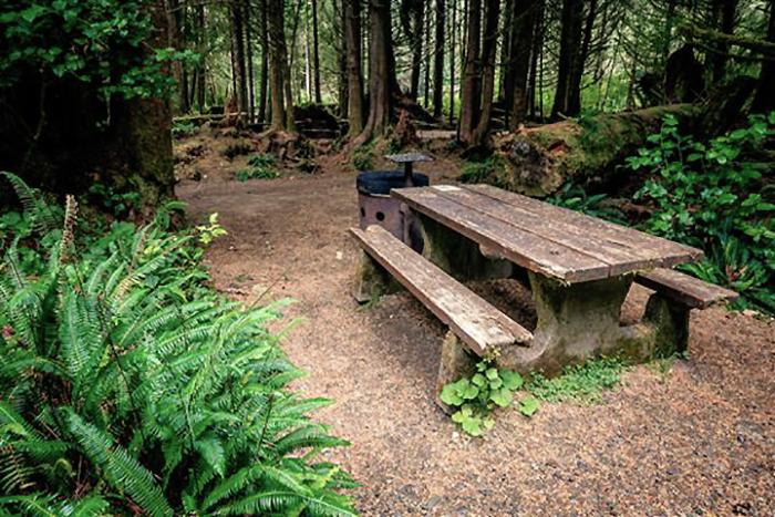 Green Point Campground 