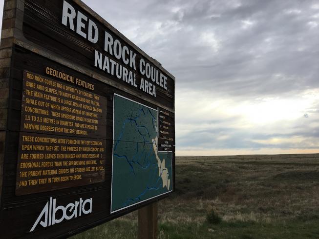 Südliche Prärie Teil 2 