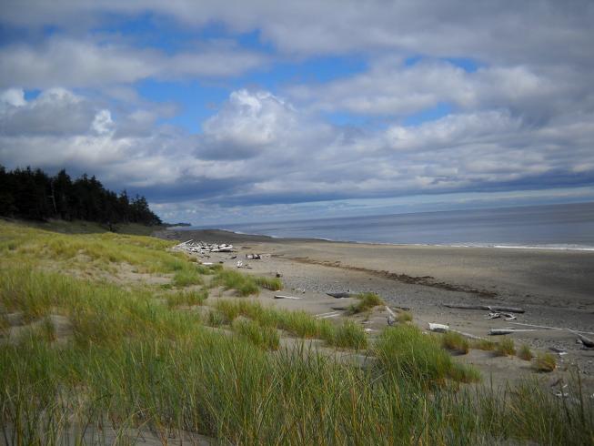 Haida Gwaii - Inselschlenker 