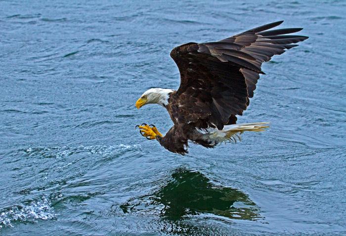 Kanadas Osten erkunden 