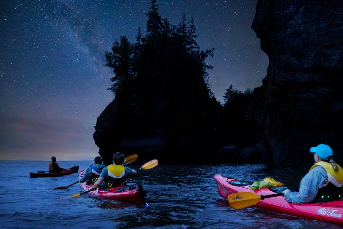 Hopewell Rocks bei Nacht 