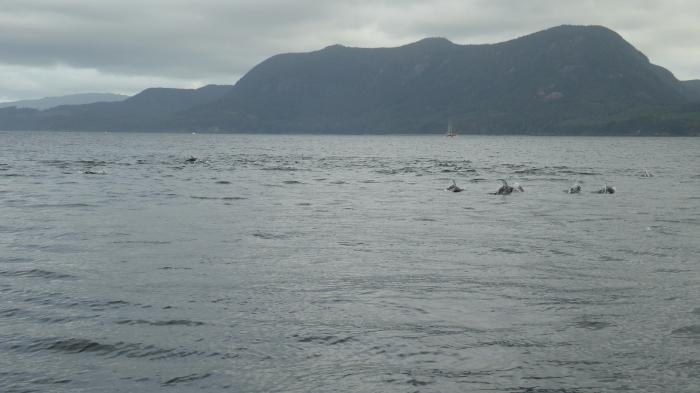 Von den Rockies bis zum Pazifik Teil 3 