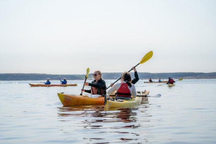 Kayaking mit Belugas 
