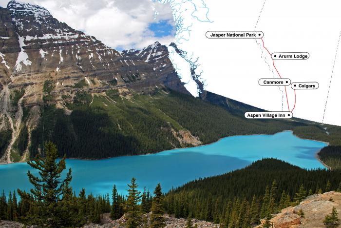 Alberta Rockies Solid 