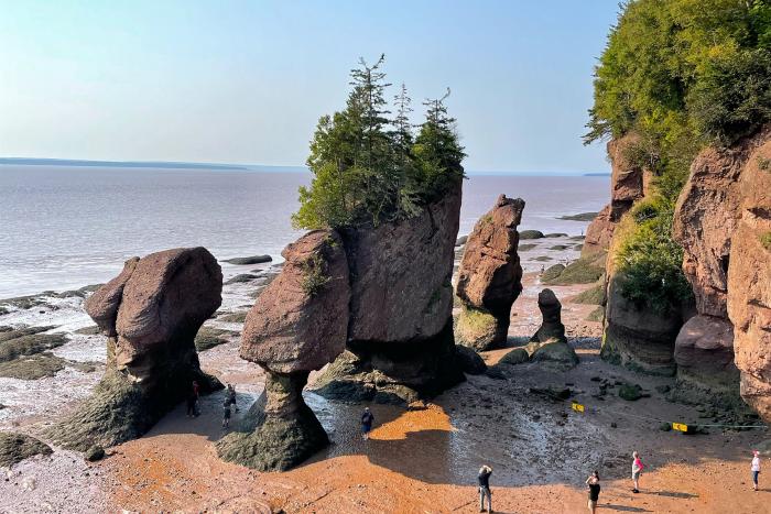 New Brunswick 