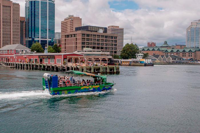 Harbour Hopper Tour 