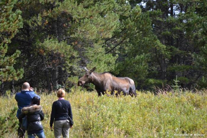 Pfingsten in Westkanada 