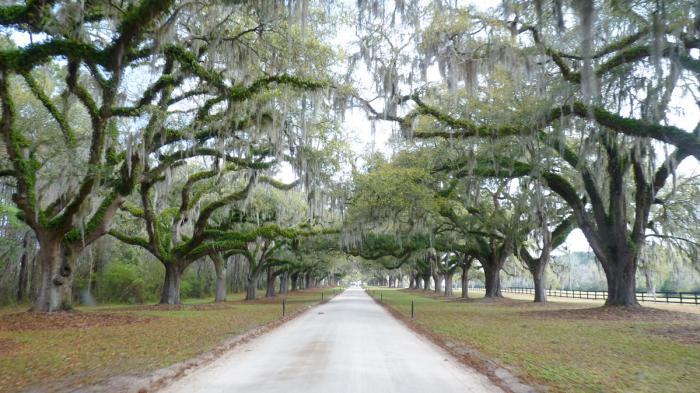 Im Camper bis Orlando 