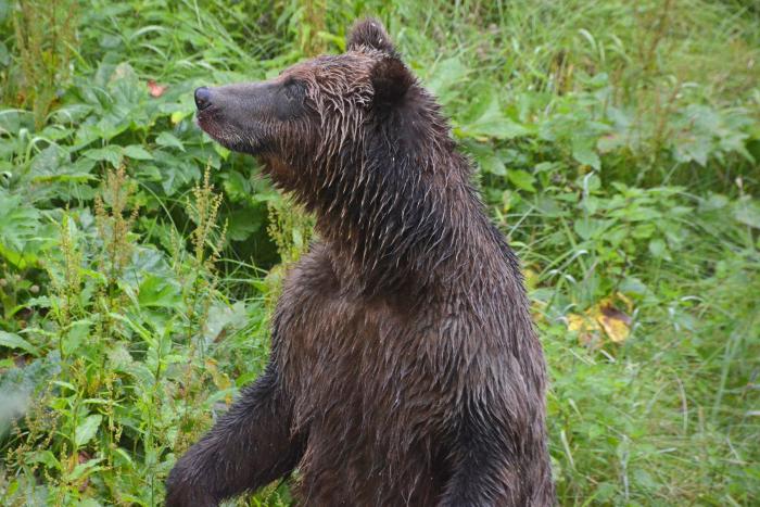 Faszination Yellowhead Hwy 