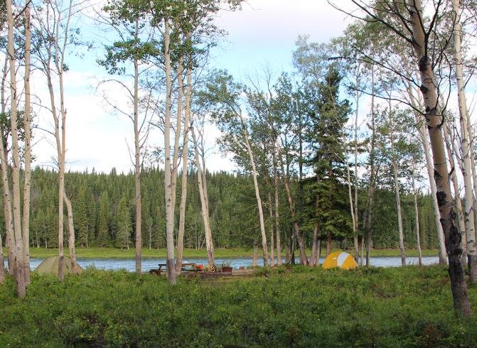 Im Kanu auf dem Yukon River 