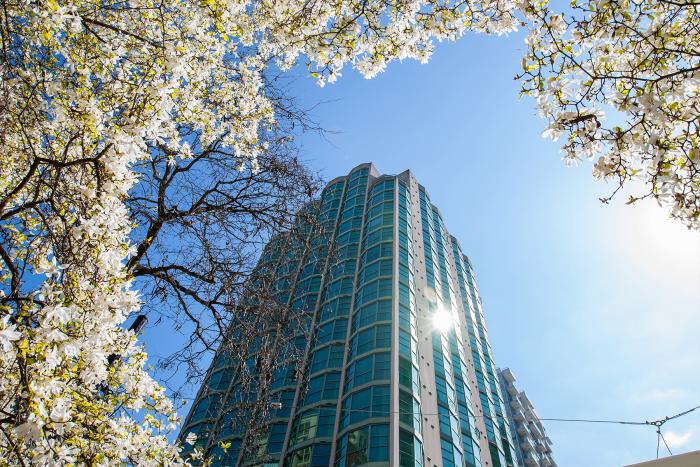 Rosedale on Robson Hotel 