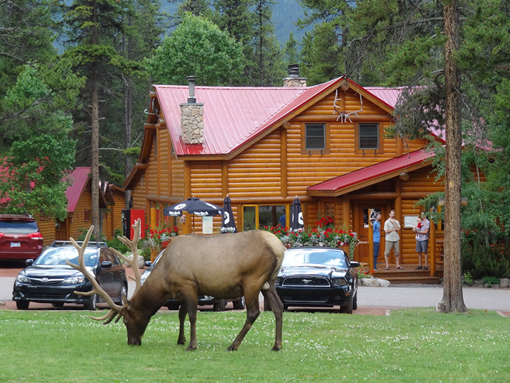 Baker Creek Chalets 