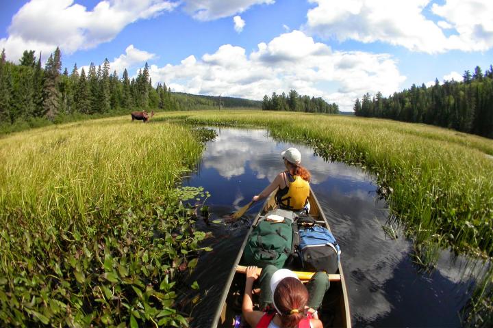 Algonquin Adventure 