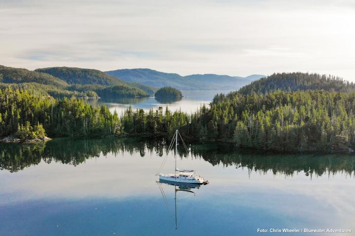 Segeln bei Haida Gwaii 09.06.2023 - 09.06.2023 | Erwachsener | 9 Tage / 8 Nächte