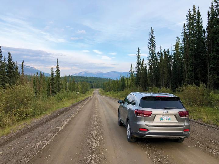 Forestry Trunk Road II 