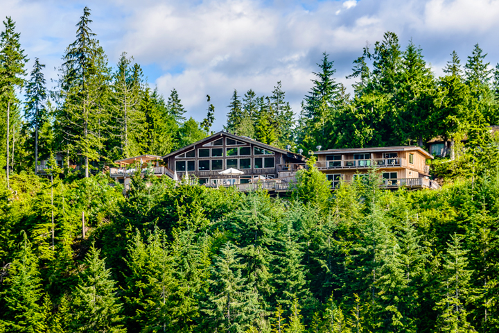 West Coast Wilderness Lodge 01.10.2024 - 14.10.2024 | 1 Person im Zimmer (Single) | Forest View Room