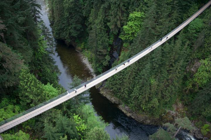 Capilano Suspension Bridge 