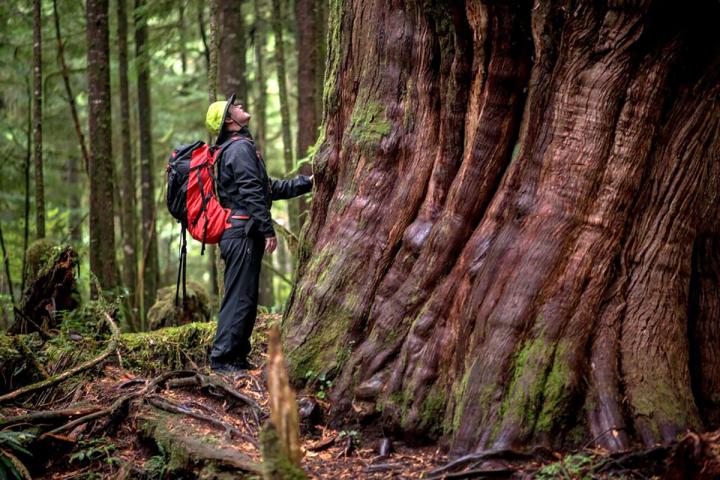 Wandern auf Vancouver Island 