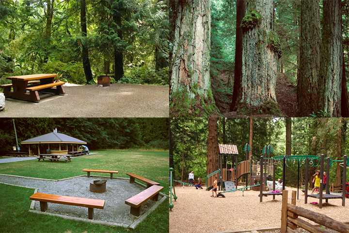 Goldstream Campground 