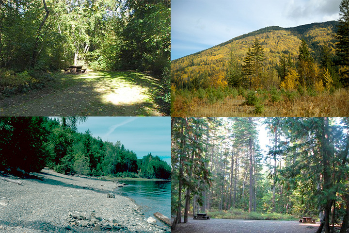 Shuswap Lake Campground 