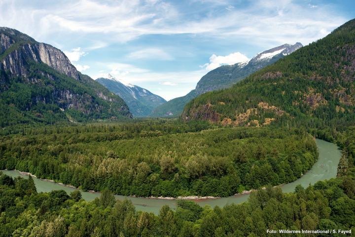 CO2 Kompensation aller Reisen 