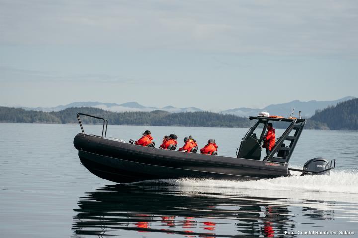 Seeotter & Whale Watching 