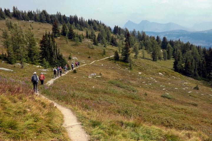 Icefields Parkway Hiking 03.06.2024 - 26.08.2024 | 1-Personen-Belegung (1P./unit) | Deutsch / Englisch