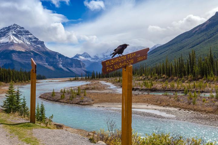 Von Vancouver bis nach Alaska 