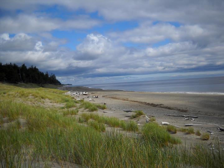 Haida Gwaii - Inselschlenker 