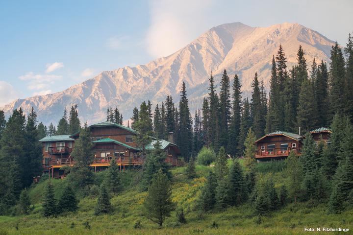 Mount Engadine Lodge 01.01.2024 - 18.05.2024 | 1 Person im Zimmer (Single) | Moose Room | Vollpension