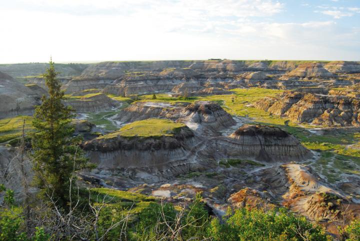 Canadian Badlands 