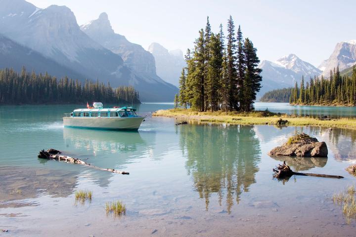 Maligne Valley - Wildlife & Waterfalls Tour  