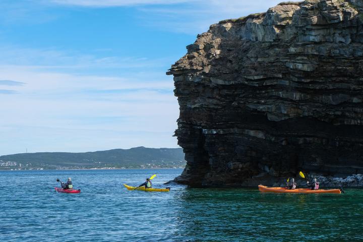 Kayak Ausflug zu den Sea Caves 