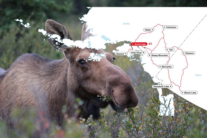 Denali 